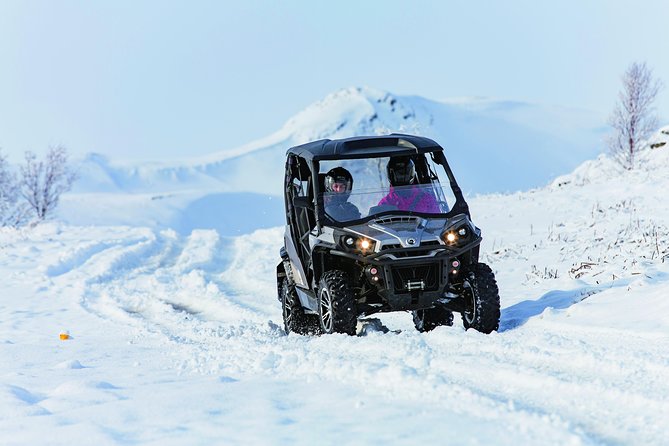 1 hour Buggy adventure - From Reykjavik - Lava, Mud, Snow, and Water on the Main Route