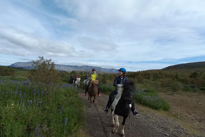 1+ hour Private Horse riding tour from Reykjavík/Mosfellsbær - Getting ready at the stable in Mosfellsbær