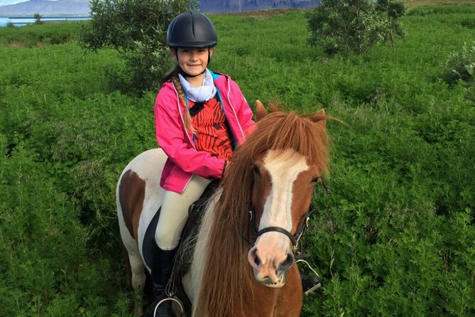 1+ hour Private Horse riding tour from Reykjavík/Mosfellsbær - The Icelandic tölt and different riding levels