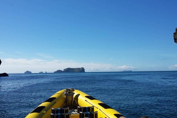1-Hour Small Group Sightseeing Boat Tour in Vestmannaeyjar - Puffins, seabirds, and the limits of wildlife watching