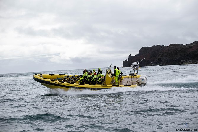 1-Hour Small Group Sightseeing Boat Tour in Vestmannaeyjar - The guides add local character