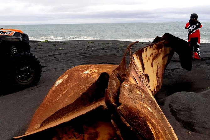 2-Hour Black Sand Beach Buggy Tour from Hella - Why the small format matters