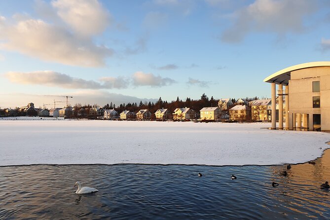 2-Hour Reykjavik Private Walking Tour - Parliament, Dómkirkjan, and Iceland’s public life