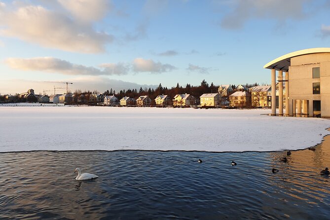 2-Hour Reykjavik Private Walking Tour - How the guide affects the experience