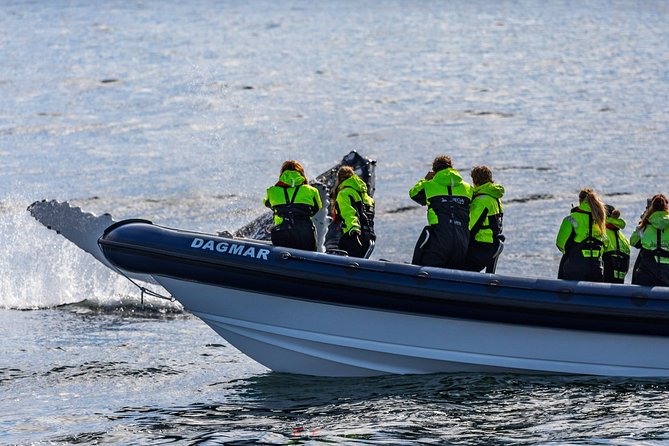 2-Hour RIB Boat Whale Watching Tour from Reykjavik - Returning along Reykjavik’s coastline