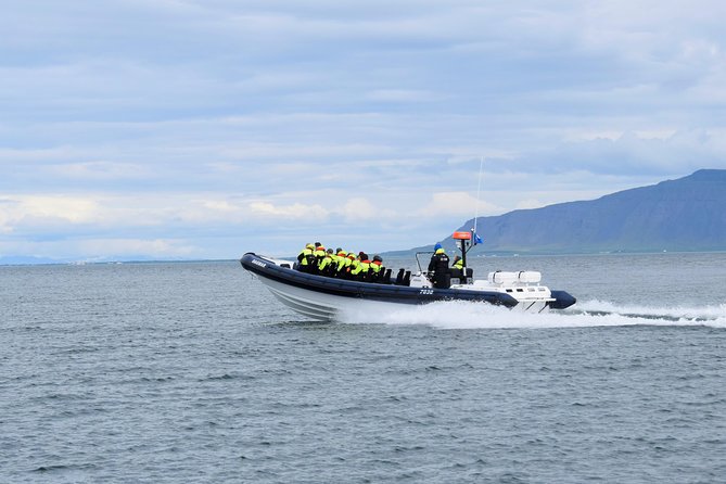 2-Hour RIB Boat Whale Watching Tour from Reykjavik - Is $189.87 a fair price?