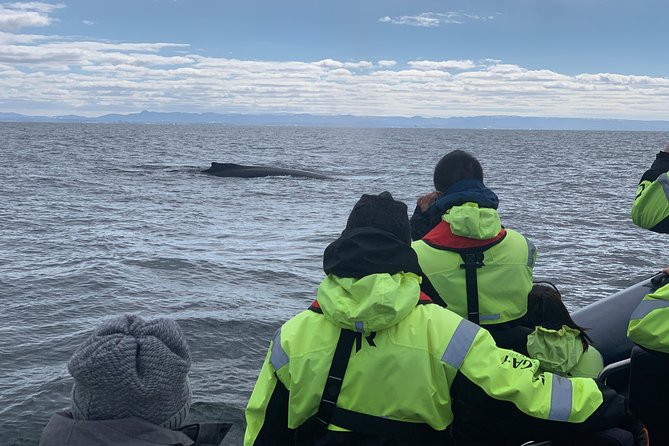 2-Hour RIB Boat Whale Watching Tour from Reykjavik - Across Faxaflói Bay with Esja in view