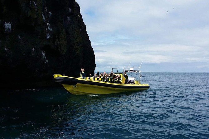 2 hour Round Trip in Vestmannaeyjar on a RIB Boat - Sea caves, Elephant Rock, and the first bird cliffs