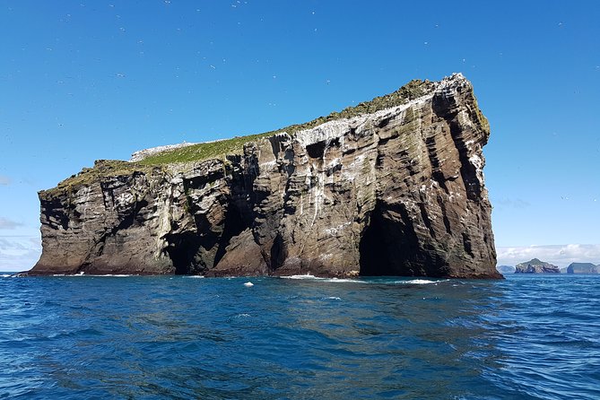 2 hour Round Trip in Vestmannaeyjar on a RIB Boat - Puffins and seabirds in their natural setting