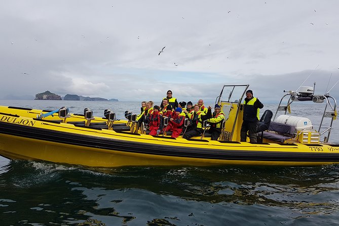 2 hour Round Trip in Vestmannaeyjar on a RIB Boat - What the small group size changes