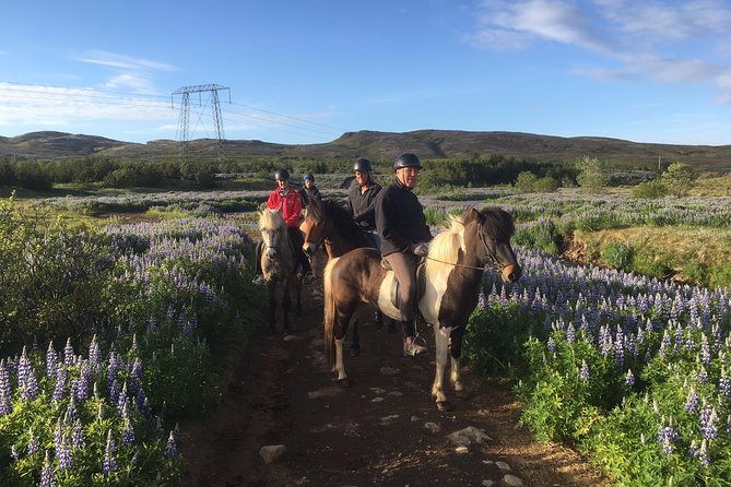 2 hours Private Horse Riding to Lake Hafravatn, Reykjavík - Mos - Why this private ride works so well near Reykjavík