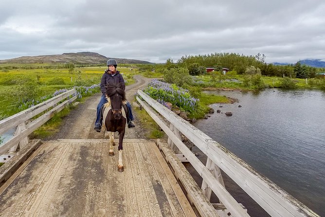 2 hours Private Horse Riding to Lake Hafravatn, Reykjavík - Mos - Trying the Icelandic tölt