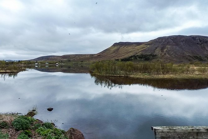 2 hours Private Horse Riding to Lake Hafravatn, Reykjavík - Mos - Meeting your horse before the ride