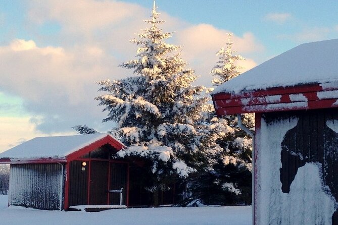 5-Days Land of Northern Lights Tour from Reykjavík - Two evenings focused on the northern lights