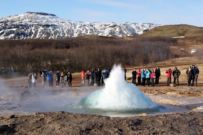 5-Days Land of Northern Lights Tour from Reykjavík - Who should book this Iceland tour?