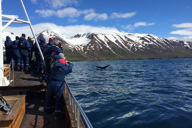 7-Day Complete Iceland: South Coast, Golden Circle, Akureyri & Snaefellsnes - Day 6: Borgarfjörður, lava waterfalls, and Icelandic sagas