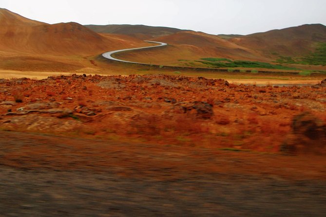 8-Day Summer Ring Route of Iceland with Snaefellsnes Peninsula - Day 6: Akureyri and whale watching from Hauganes