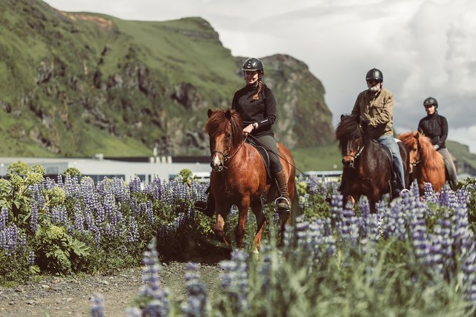 Black Sand Beach Horse Riding Tour from Vik - Quick points to know before you book