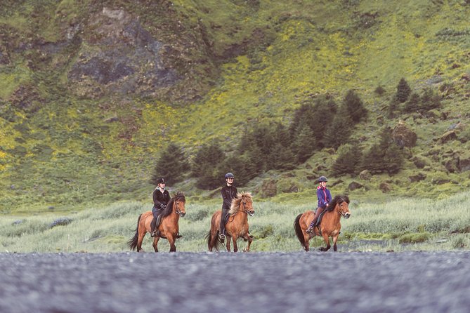 Black Sand Beach Horse Riding Tour from Vik - The short chance to try the tölt