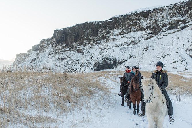 Black Sand Beach Horse Riding Tour from Vik - Who will get the most from this experience