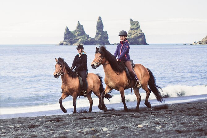 Black Sand Beach Horse Riding Tour from Vik - Is $133.02 a fair price?