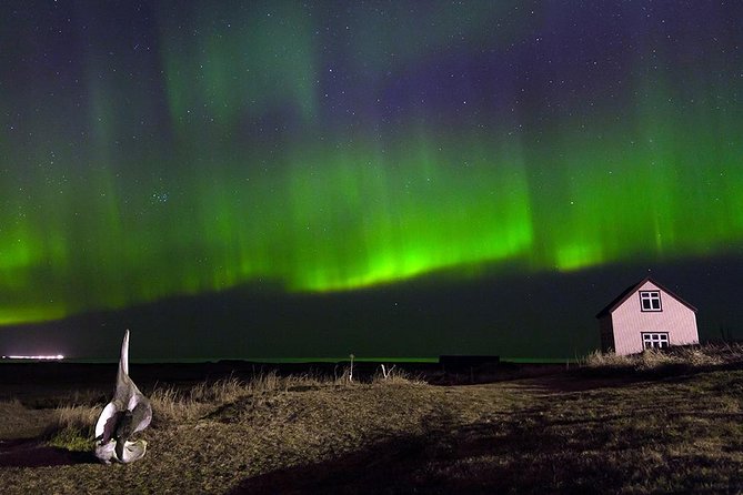 Blue Lagoon and Northern Lights Tour Including Admission - Who Will Get the Most From This Tour