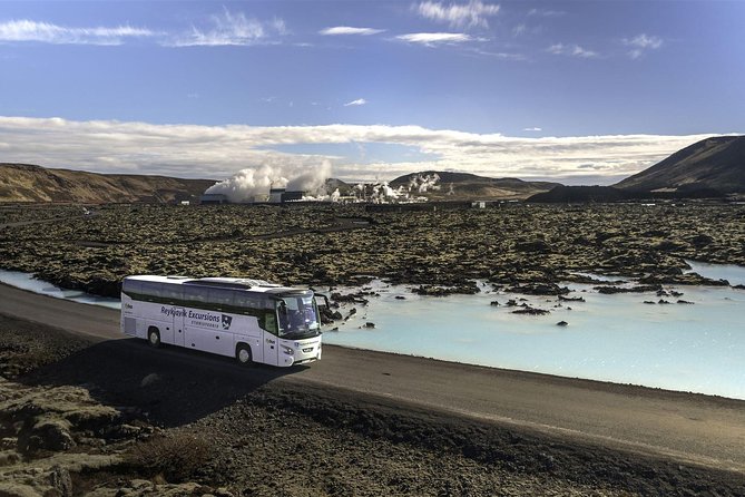 Blue Lagoon & Northern Lights Tour from Reykjavik - Who will enjoy this long Iceland day?