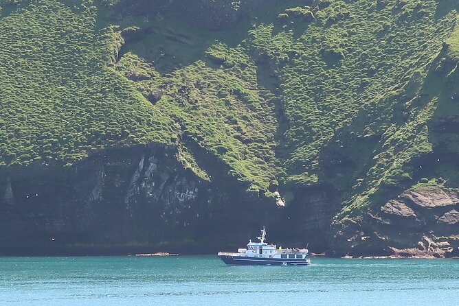 Boat Tour in Vestmannaeyjar - Elephant Rock from the water