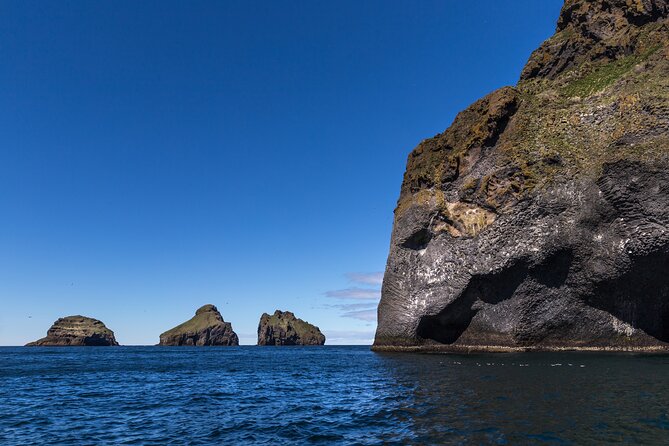 Boat Tour in Vestmannaeyjar - What the $114.65 price buys you