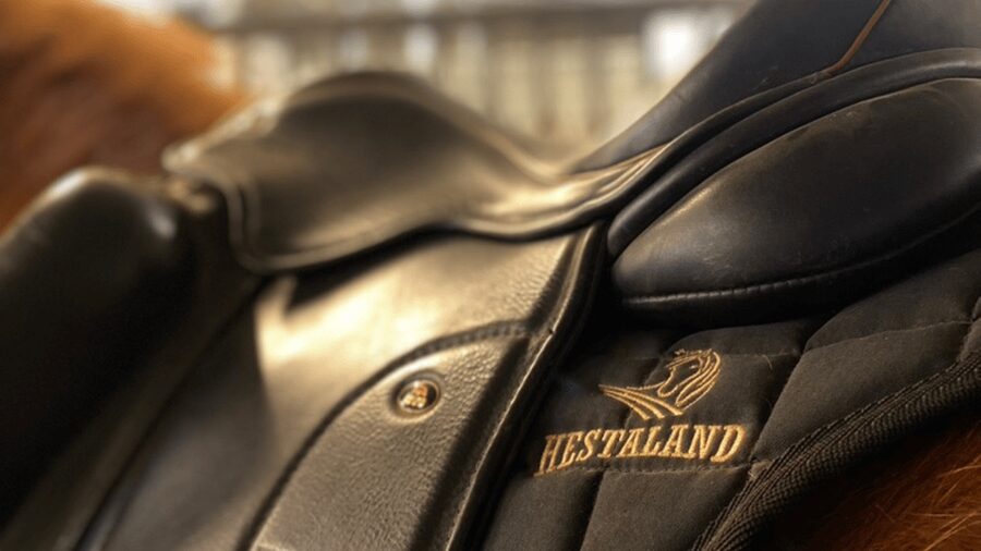 Borgarnes: Horseback Riding Tour with Prep Lesson - Key points to know before booking