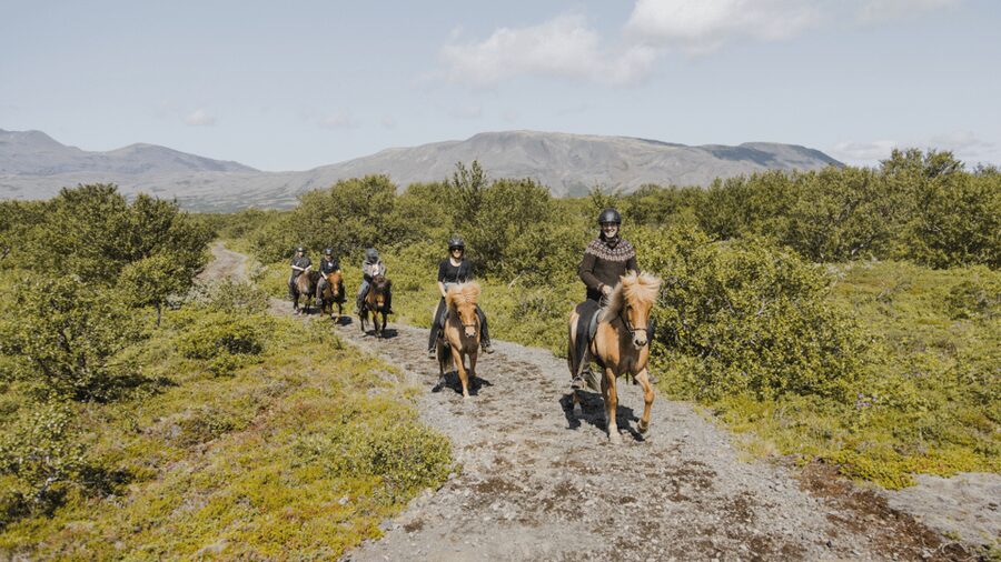 Borgarnes: Horseback Riding Tour with Prep Lesson - Meeting the Icelandic horses