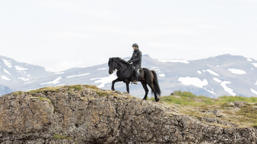 Borgarnes: Horseback Riding Tour with Prep Lesson - Is $109 a fair price?