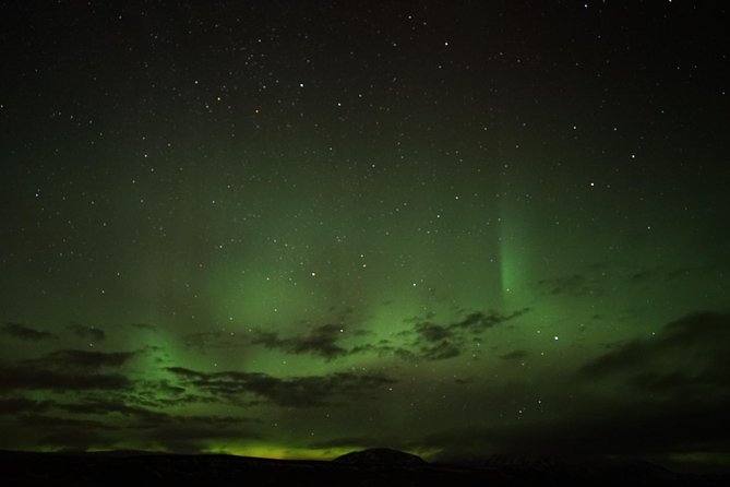 Chasing Aurora Borealis with Warmth and Treats in Premium Tour! - The guide can make or break the night