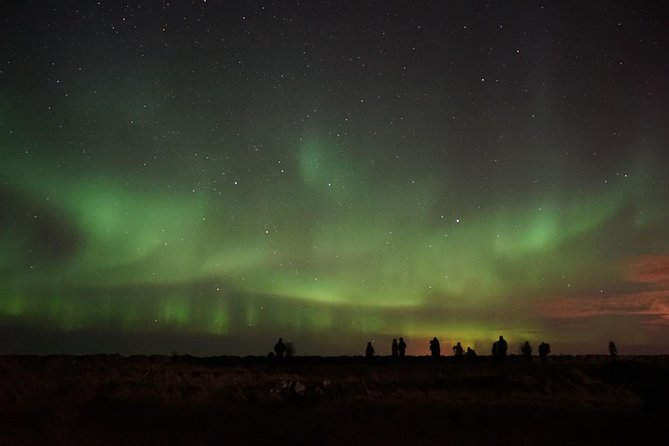 Chasing Aurora Borealis with Warmth and Treats in Premium Tour! - Who will enjoy this most