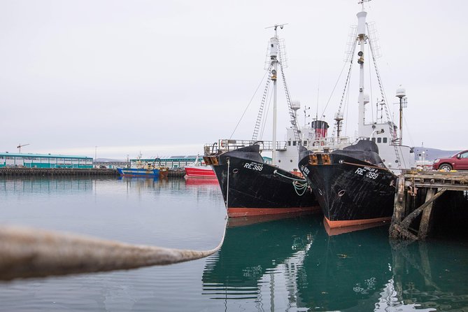 City Sightseeing Reykjavik Hop-On Hop-Off Bus Tour: 24 or 48-Hour - Stops 12 through 16: Nordica, Laugardalur, and the outer harbor