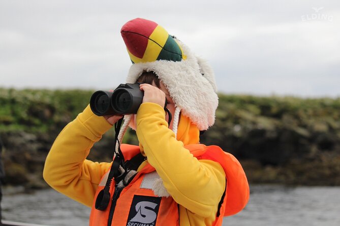 Classic Puffin Watching Cruise from Downtown Reykjavík - Why timing matters in puffin season