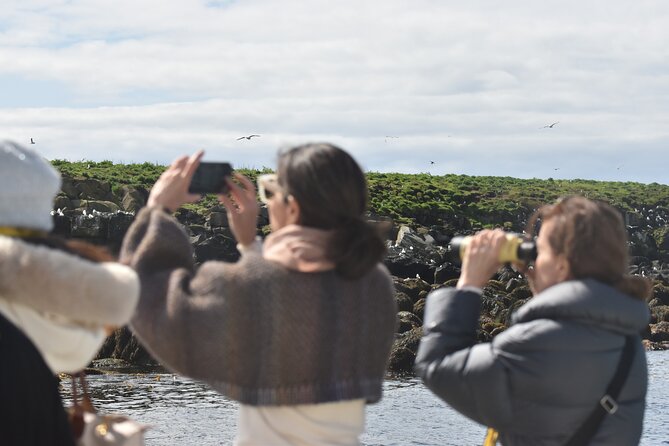 Classic Puffin Watching Cruise from Downtown Reykjavík - What you actually see from the deck