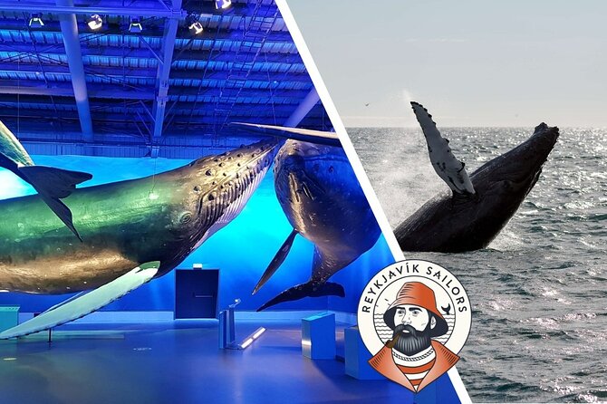 Deluxe Whale Watching and Whales of Iceland Exhibition Combo from Reykjavik - The sea time and the no-sighting option
