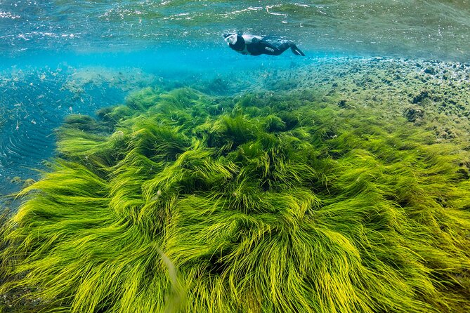 Double Snorkeling Adventure near Húsavík in North Iceland - Key points to know before booking