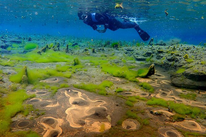 Double Snorkeling Adventure near Húsavík in North Iceland - Two North Iceland snorkels, two completely different worlds