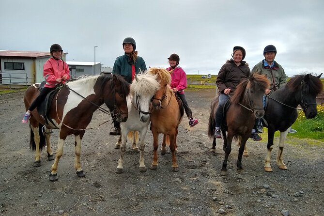 Experience Countryside of Iceland by Horseback Riding - The guides and the farm atmosphere