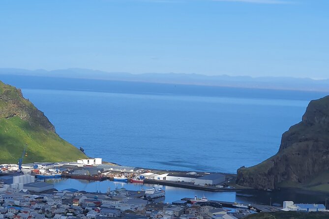 Eyjascooter Puffin Tour in Iceland - What the $156.19 price really buys
