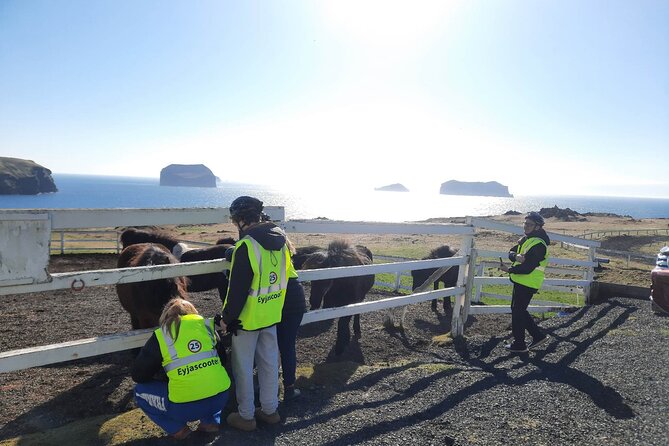 Eyjascooter volcano tour in Westman Island - Riding through town and toward the island views