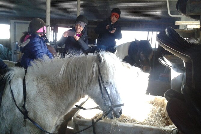 Family Horse Riding Tour in Thorlakshofn - Key points to know before booking