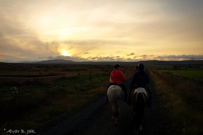 Family Horse Riding Tour in Thorlakshofn - Riding from Þorlákshöfn into Iceland’s volcanic country