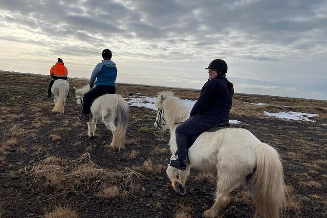 Family Horse Riding Tour in Thorlakshofn - Across the Krýsuvík lava fields