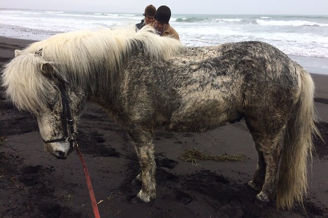 Family Horse Riding Tour in Thorlakshofn - Clothing, shoes, and comfort