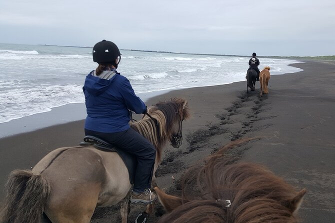 Family Horse Riding Tour in Thorlakshofn - The Icelandic horse is part of the appeal