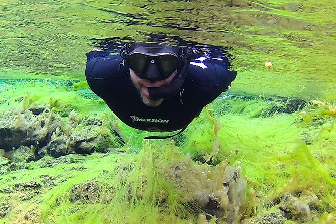 Freedive Silfra Half Day Tour - What the Silfra water time is like