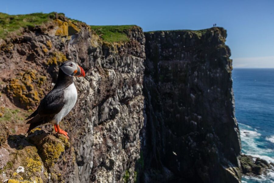 From Reykjavík: 3-Day Tour of the Wild Westfjords - Day 1: Viking roots, quiet bays, and the Kleifaheiði pass